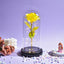 Galaxy Rose Flower Valentine Gift