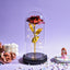 Galaxy Rose Flower Valentine Gift