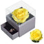 Valentine Natural Eternal Rose Jewelry Box