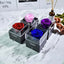 Valentine Natural Eternal Rose Jewelry Box