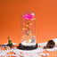 Galaxy Rose Flower Valentine Gift