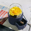 Valentine Natural Eternal Rose Jewelry Box