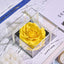 Valentine Natural Eternal Rose Jewelry Box