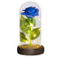 Galaxy Rose Flower Valentine Gift