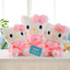 Kitty Pink Plushie Doll For Valentines Day