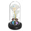 Galaxy Rose Flower Valentine Gift