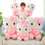 Kitty Pink Plushie Doll For Valentines Day
